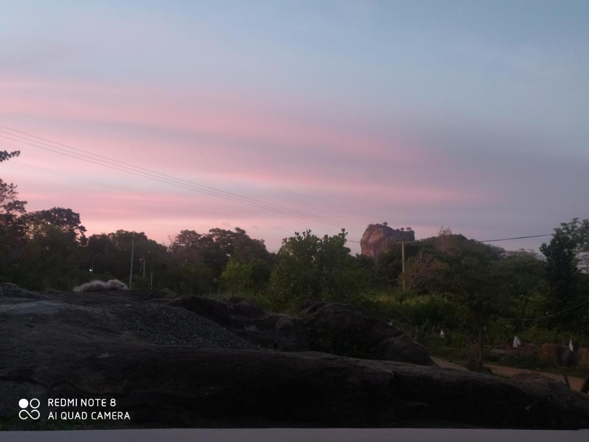 Sigiri Gayani Home Stay Sigiriya Exterior photo