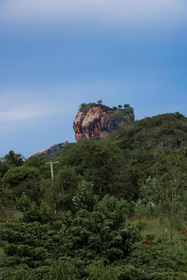 Sigiri Gayani Home Stay Sigiriya Exterior photo